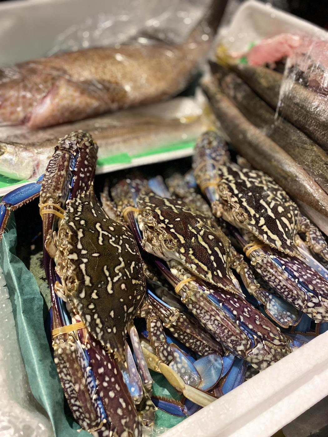 市場に届いた魚と甲殻類